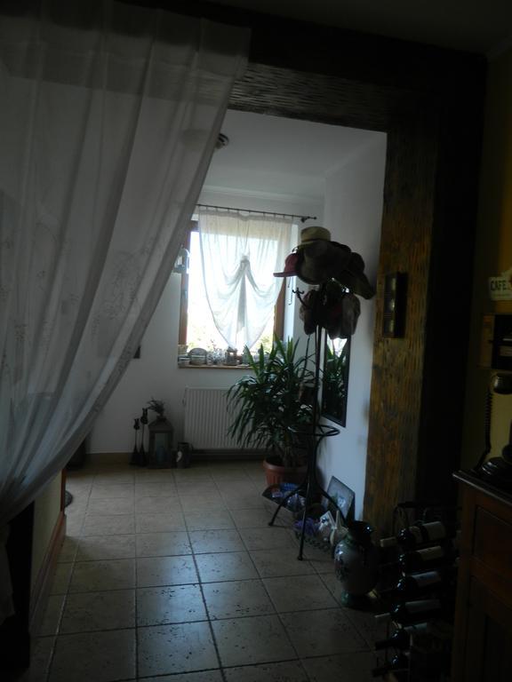 Pensiunea Romantic Sadu Exteriér fotografie