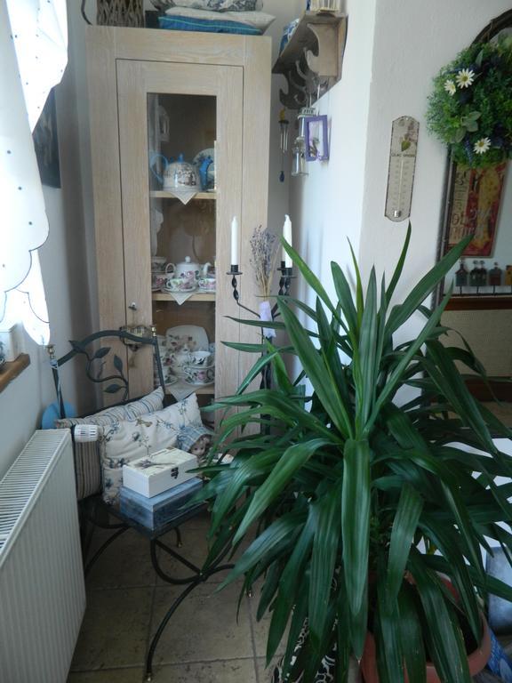 Pensiunea Romantic Sadu Exteriér fotografie