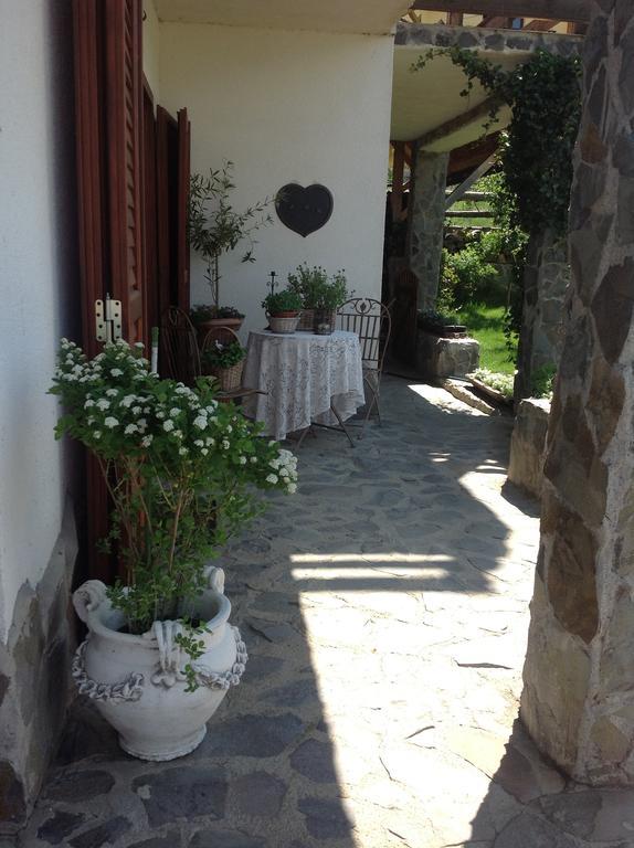 Pensiunea Romantic Sadu Exteriér fotografie