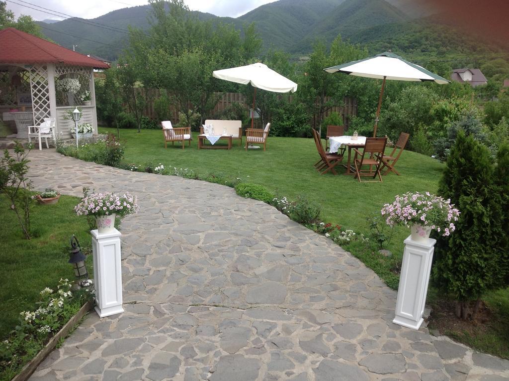Pensiunea Romantic Sadu Exteriér fotografie